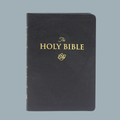 ESV LARGE PRINT (PU)