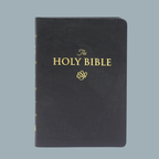ESV LARGE PRINT (PU)