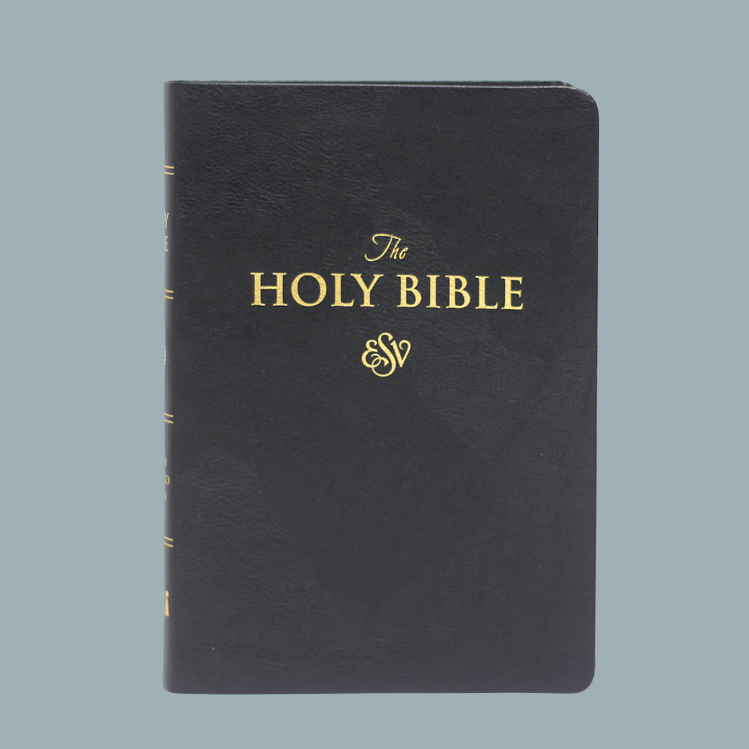ESV LARGE PRINT (PU)