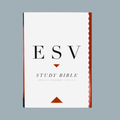 English Standard Version (ESV) Study Bible: Hardcover