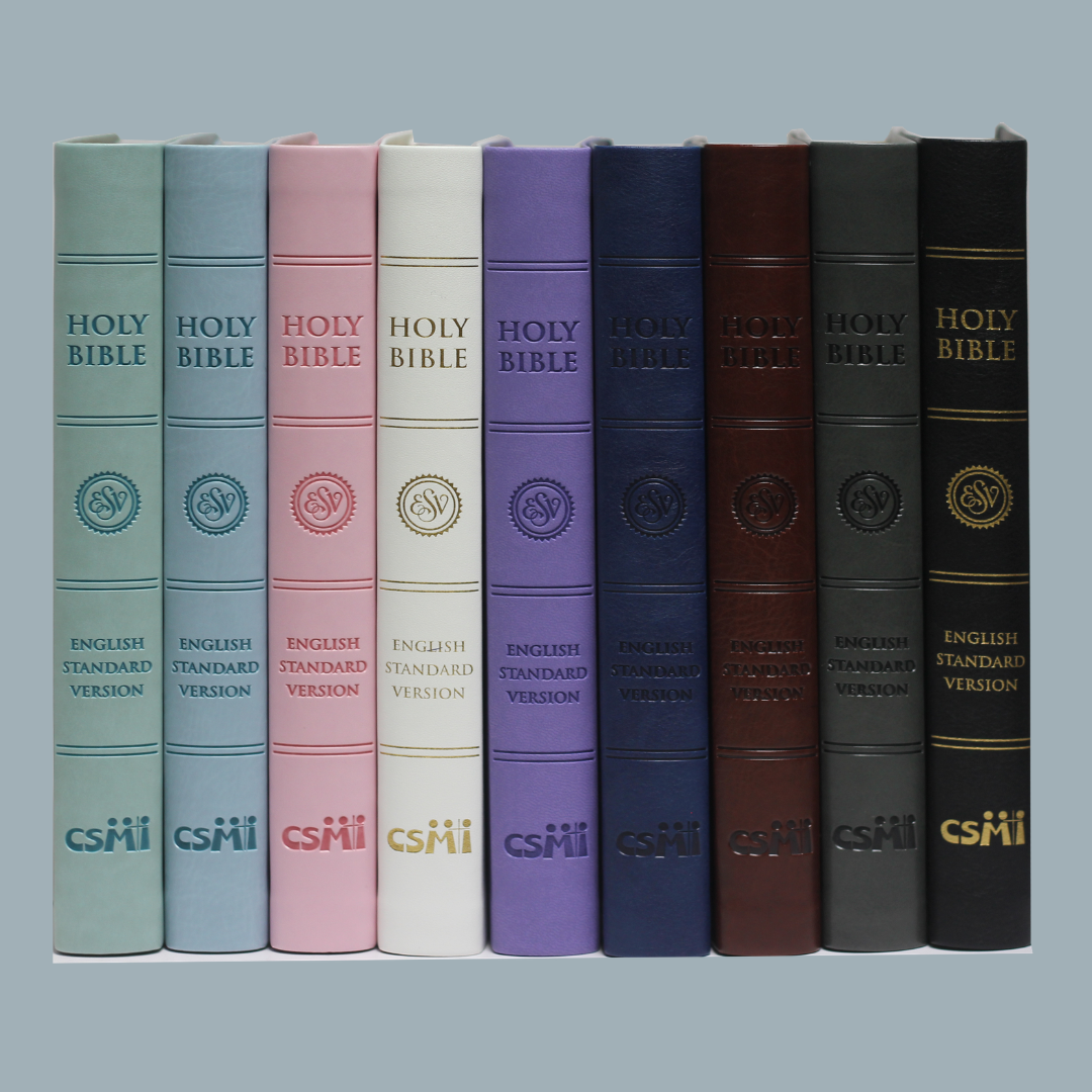 ESV LARGE PRINT (PU)