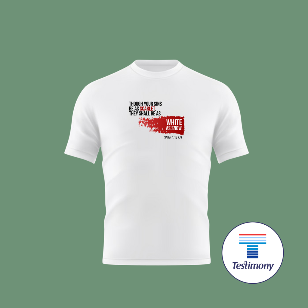 Sanctify (Testimony Shirt)