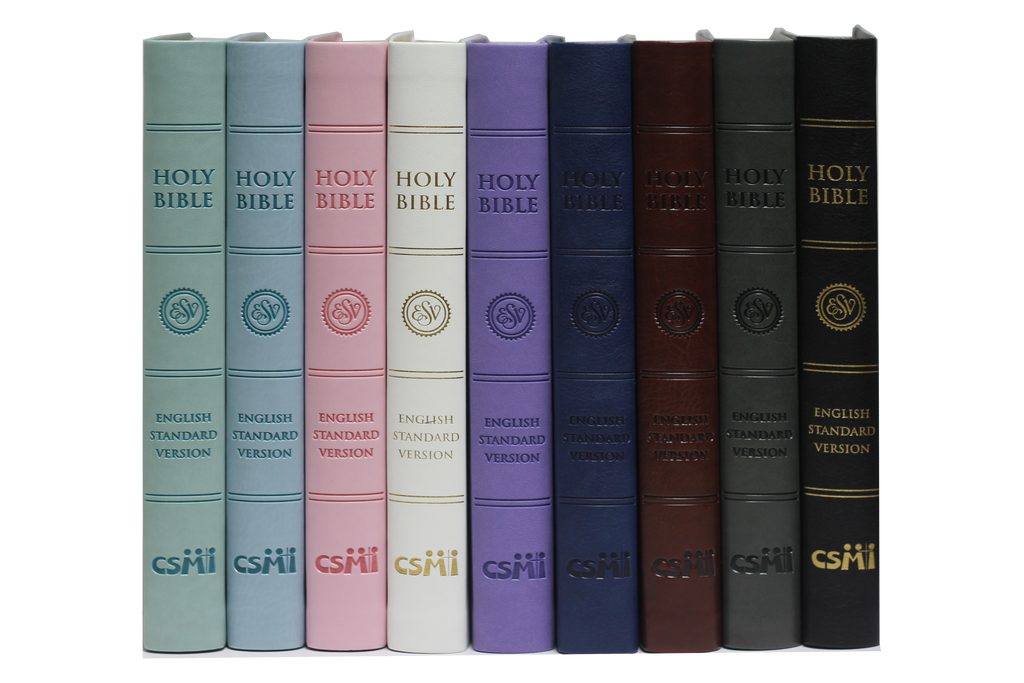 ESV LARGE PRINT (PU)