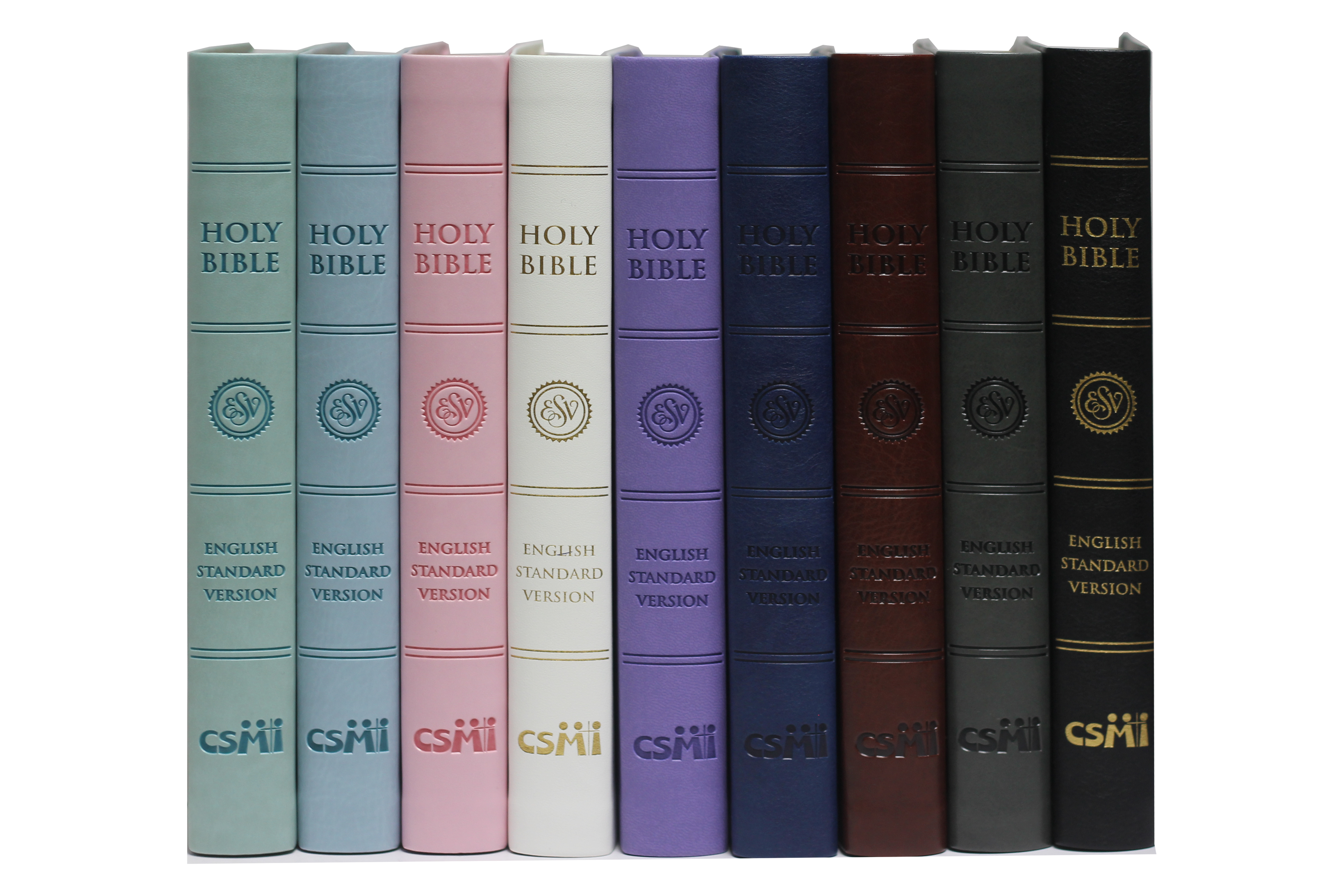 ESV LARGE PRINT (PU)