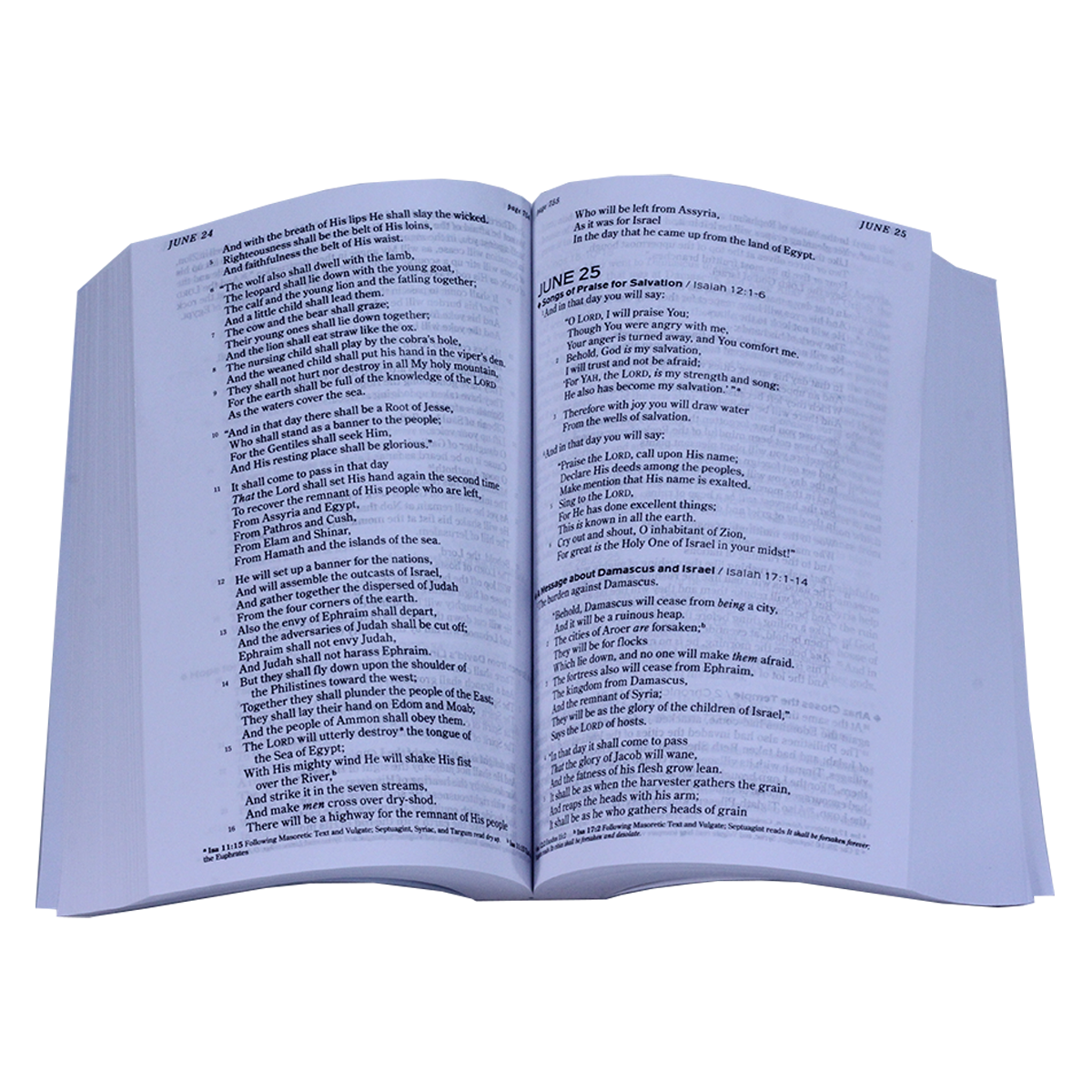The One Year Chronological Bible NKJV