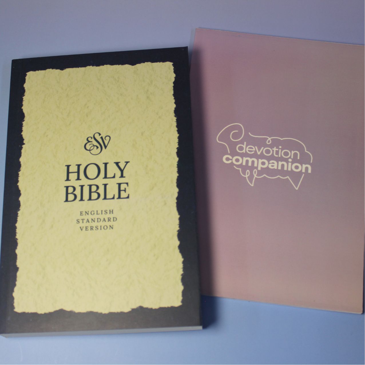 THE WRITE PRESS - Devotion Companion Journal