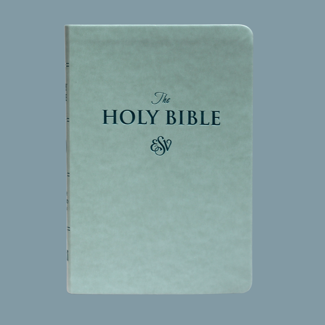 ESV LARGE PRINT (PU)