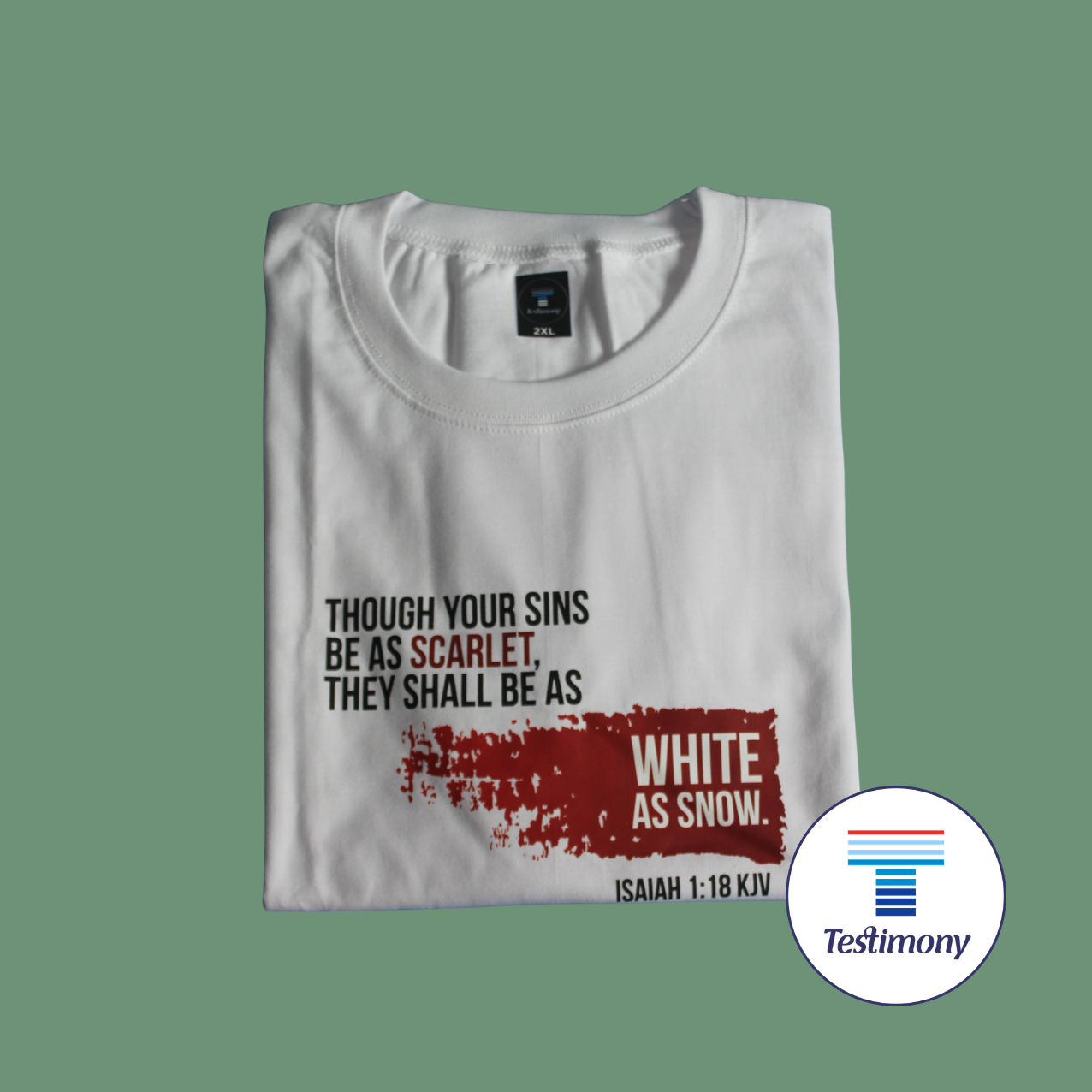 Sanctify (Testimony Shirt)