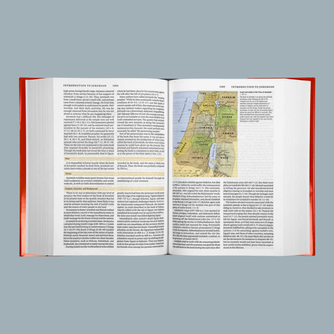 English Standard Version (ESV) Study Bible: Hardcover