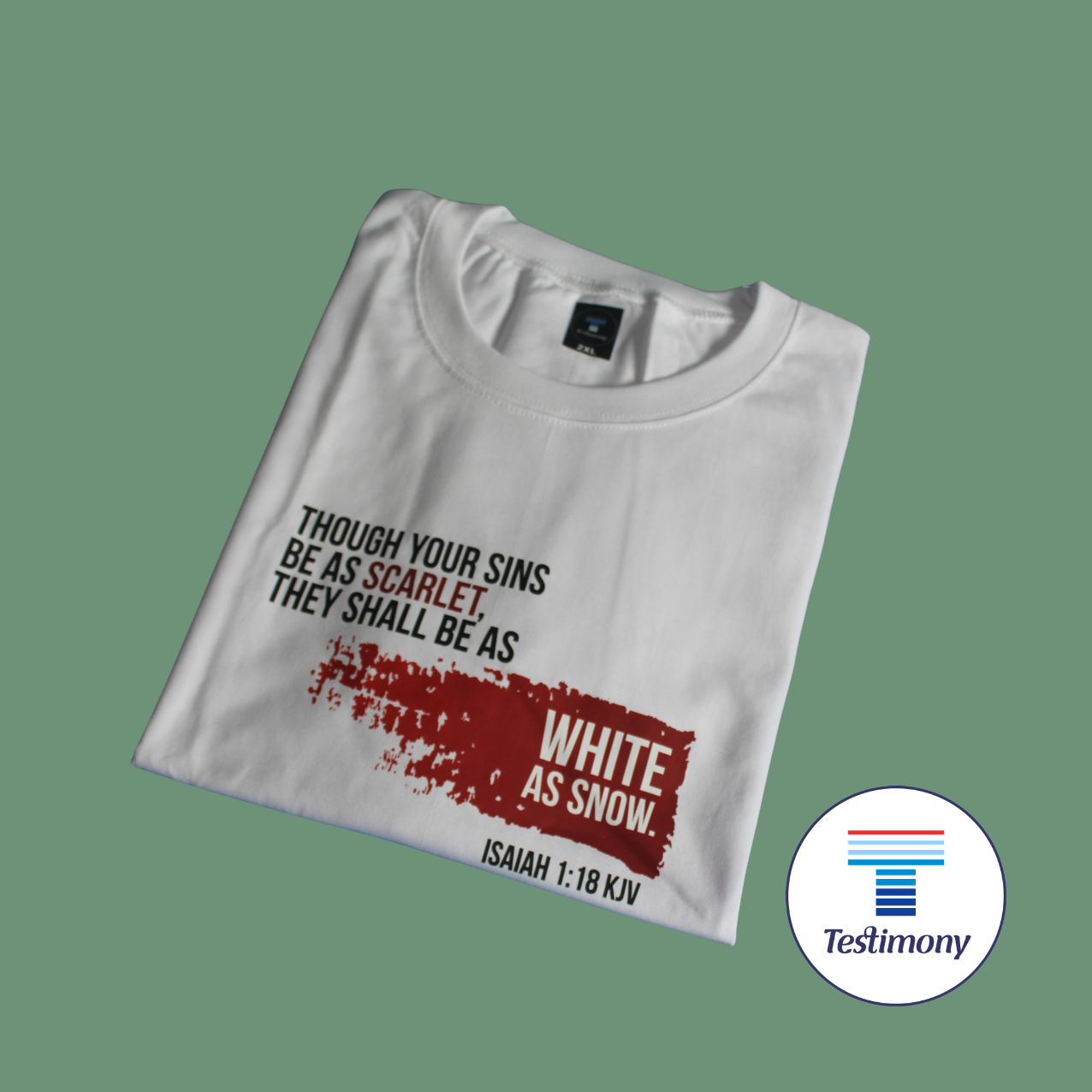 Sanctify (Testimony Shirt)