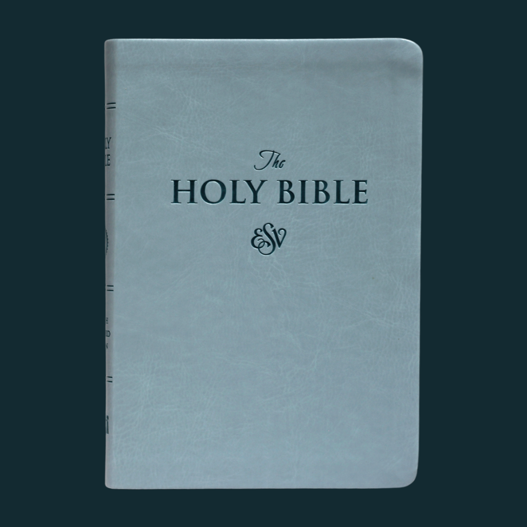 ESV LARGE PRINT (PU)