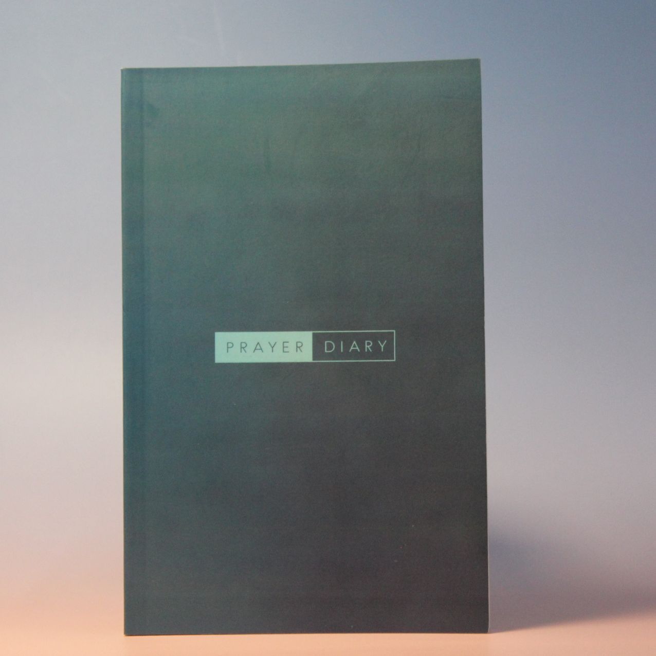THE WRITE PRESS - Prayer Diary