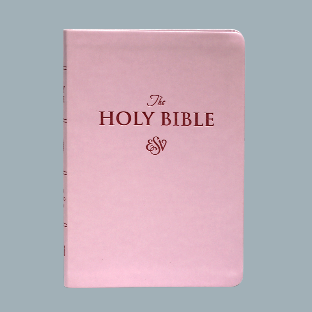 ESV LARGE PRINT (PU)