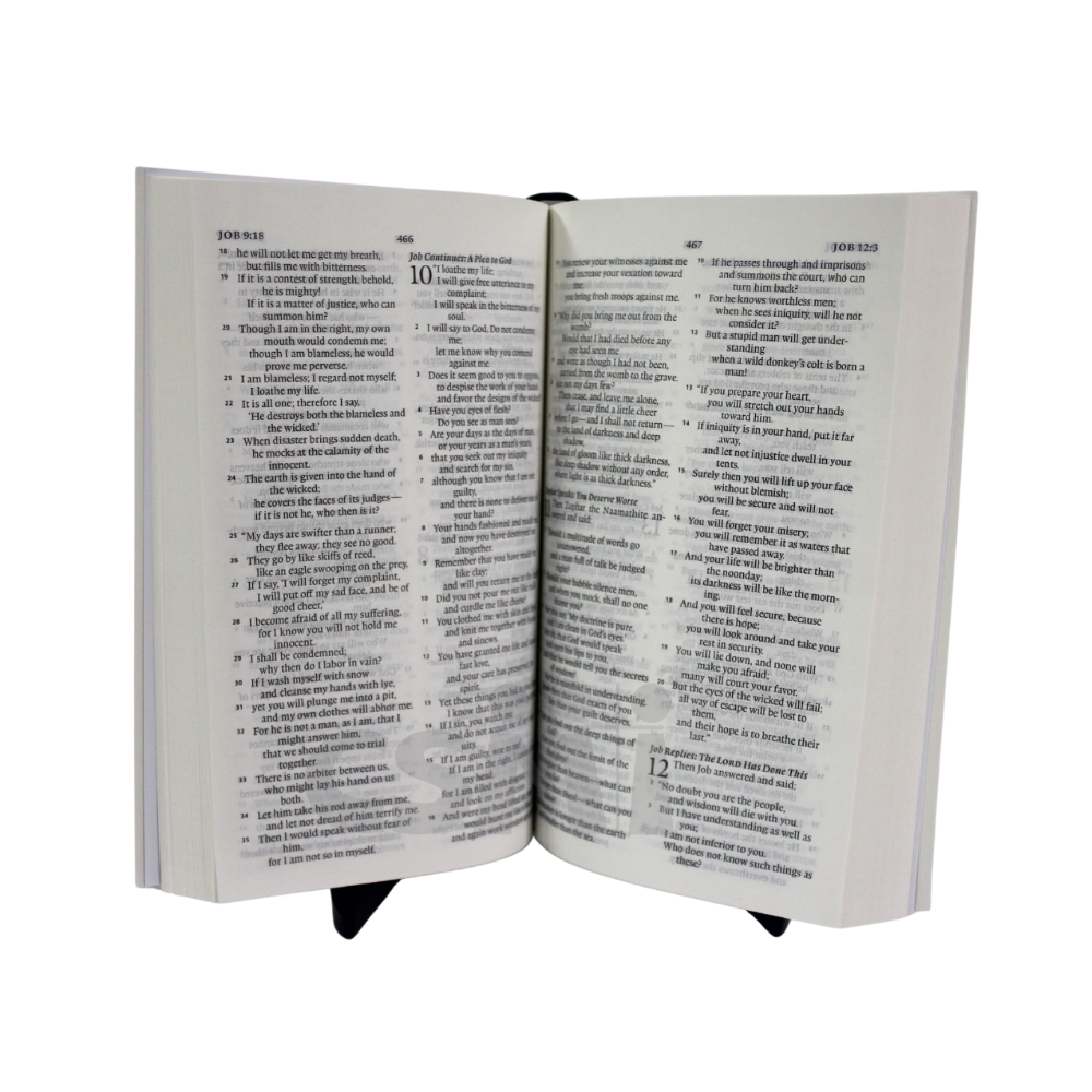 ESV Paperback LARGE PRINT