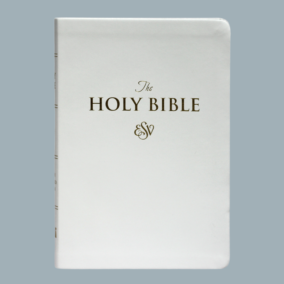 ESV LARGE PRINT (PU)