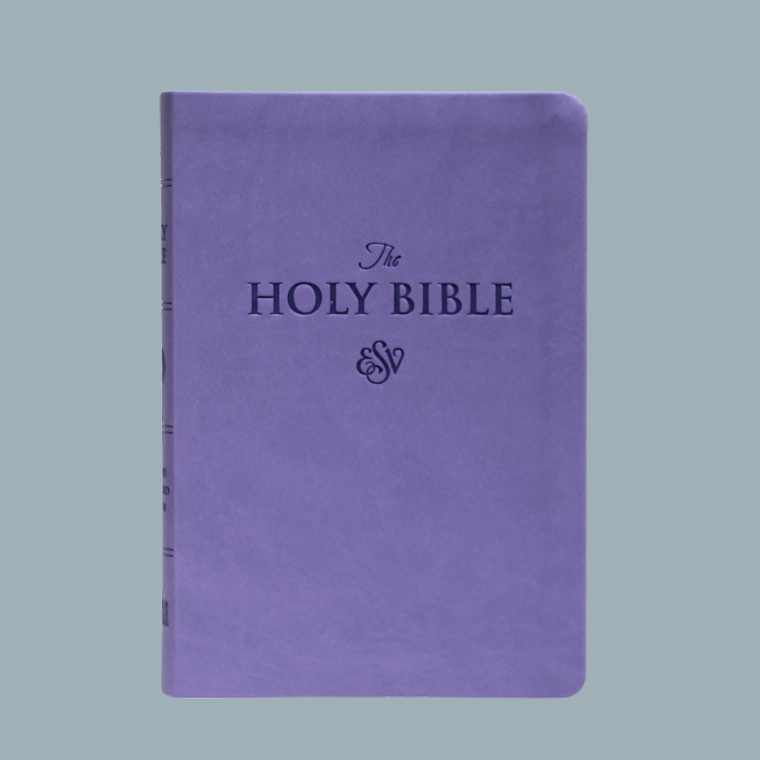 ESV LARGE PRINT (PU)