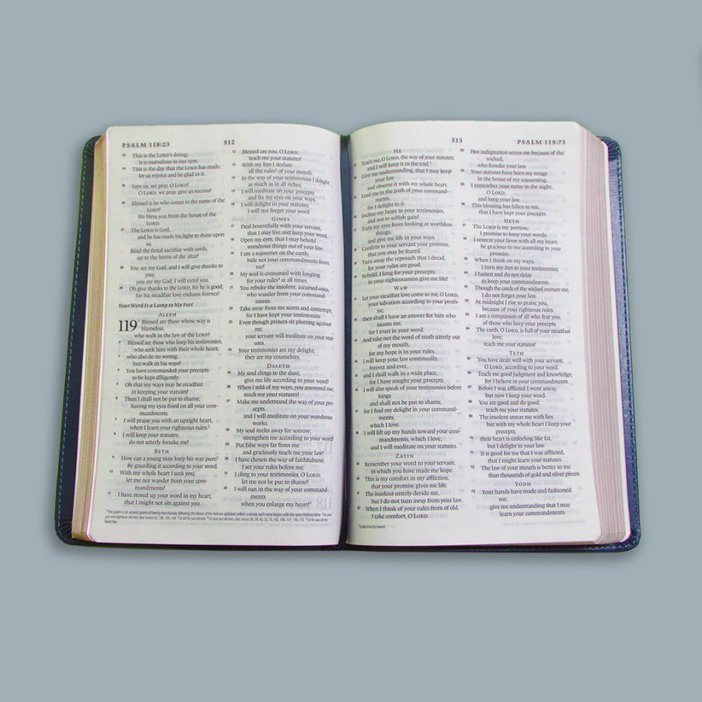 English Standard Version (ESV) Thinline Bible