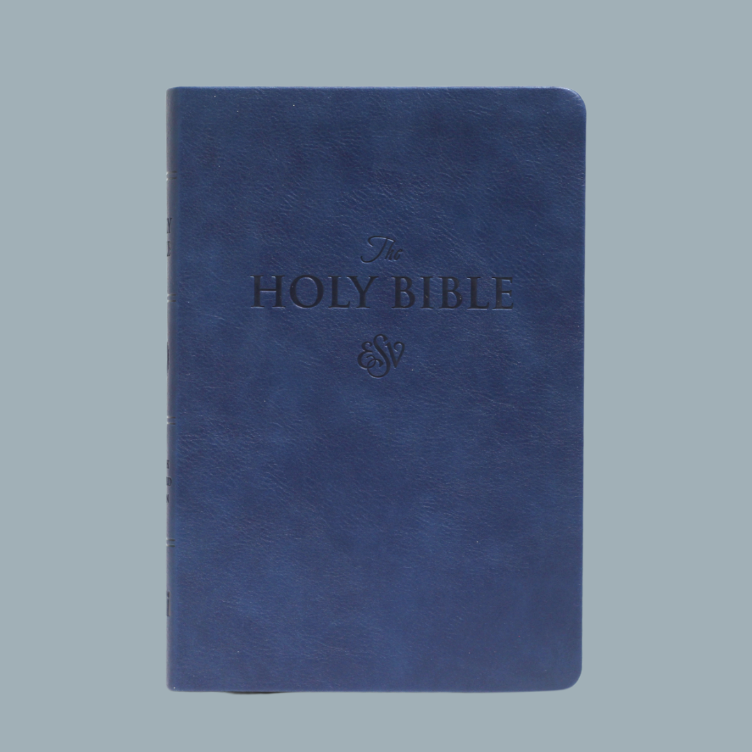 ESV LARGE PRINT (PU)
