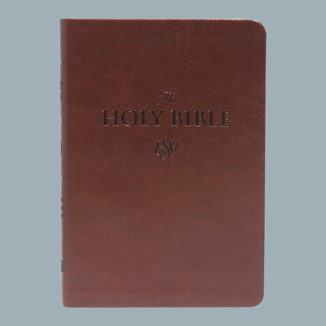 ESV LARGE PRINT (PU)