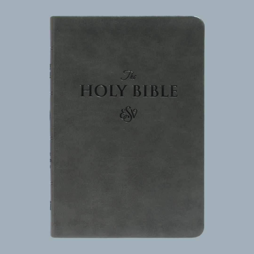 ESV LARGE PRINT (PU)