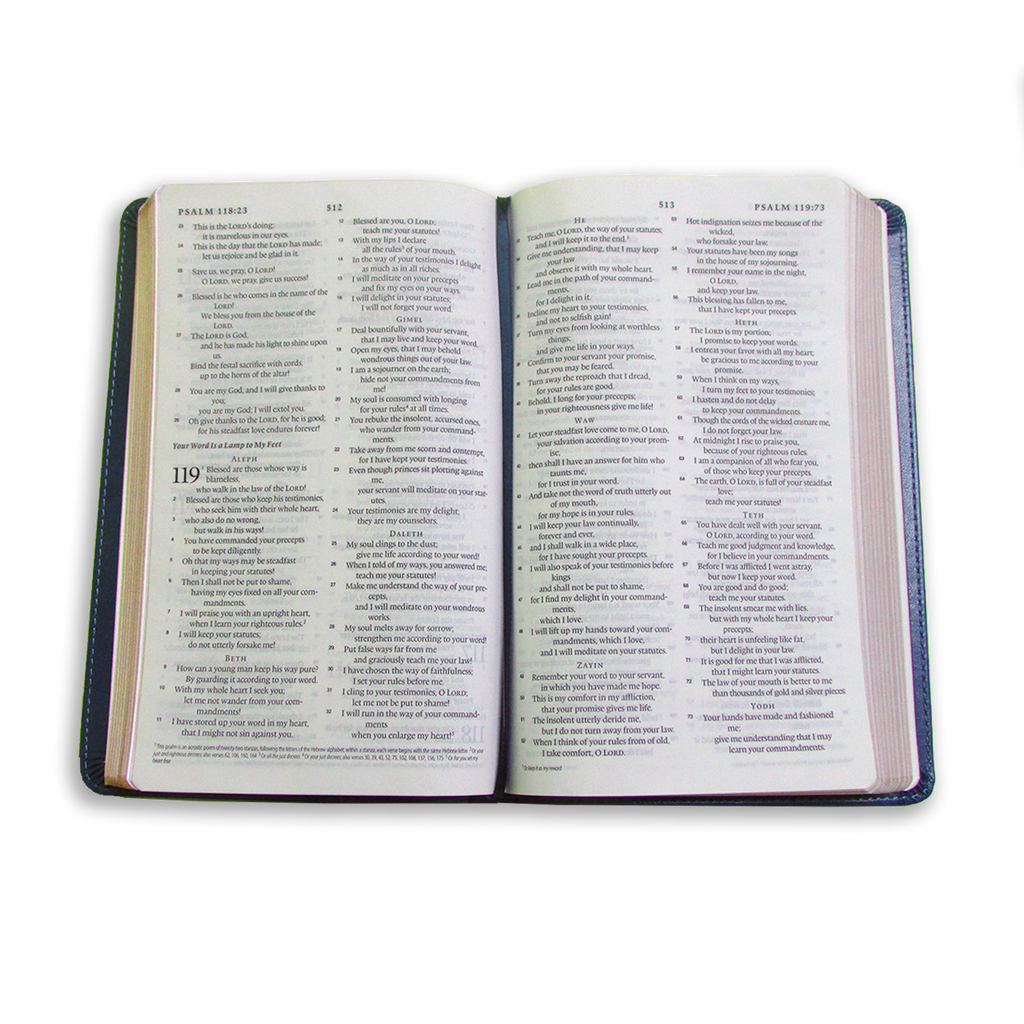 English Standard Version (ESV) Thinline Bible