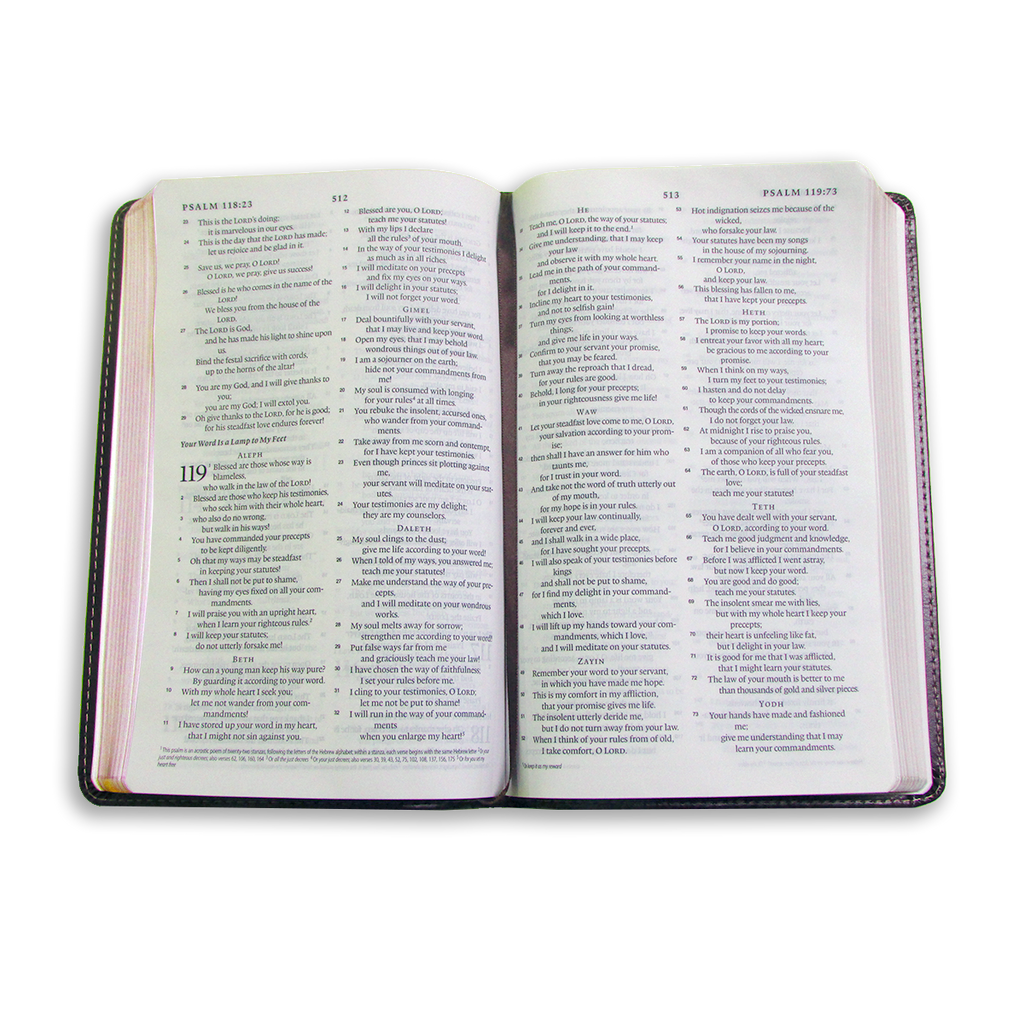 English Standard Version (ESV) Thinline Bible