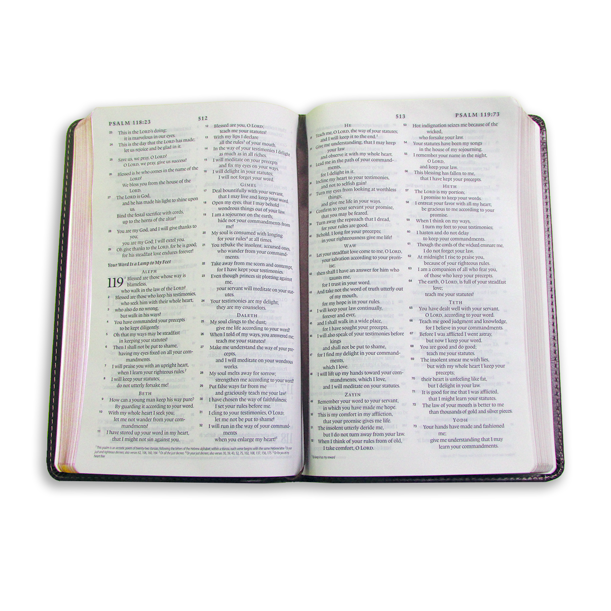 English Standard Version (ESV) Thinline Bible