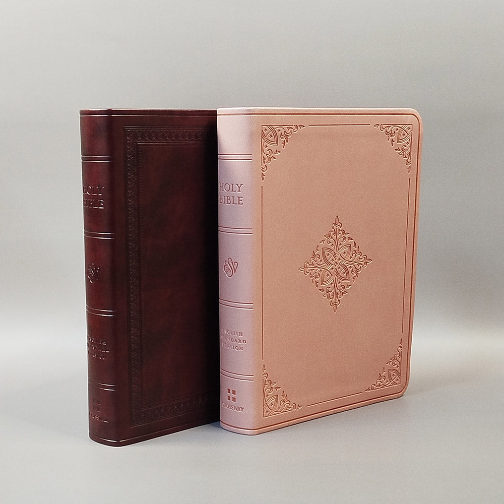 ESV Value Large Print Compact Bible