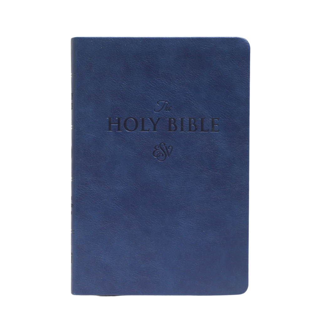 ESV LARGE PRINT (PU)
