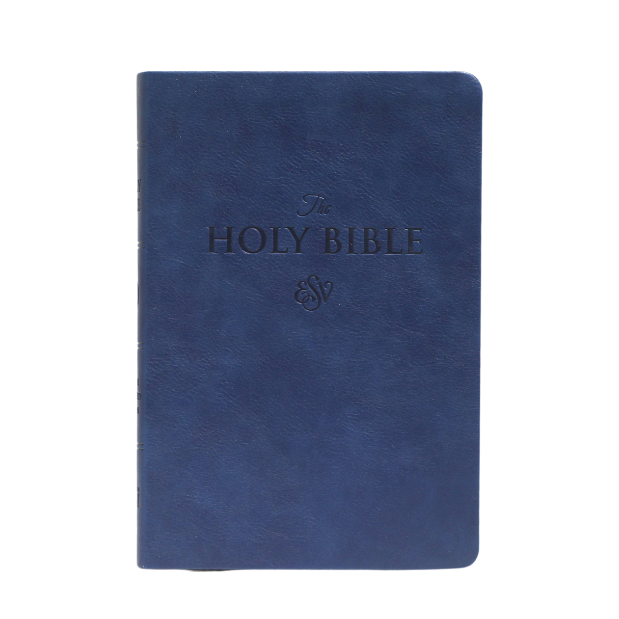 ESV LARGE PRINT (PU)