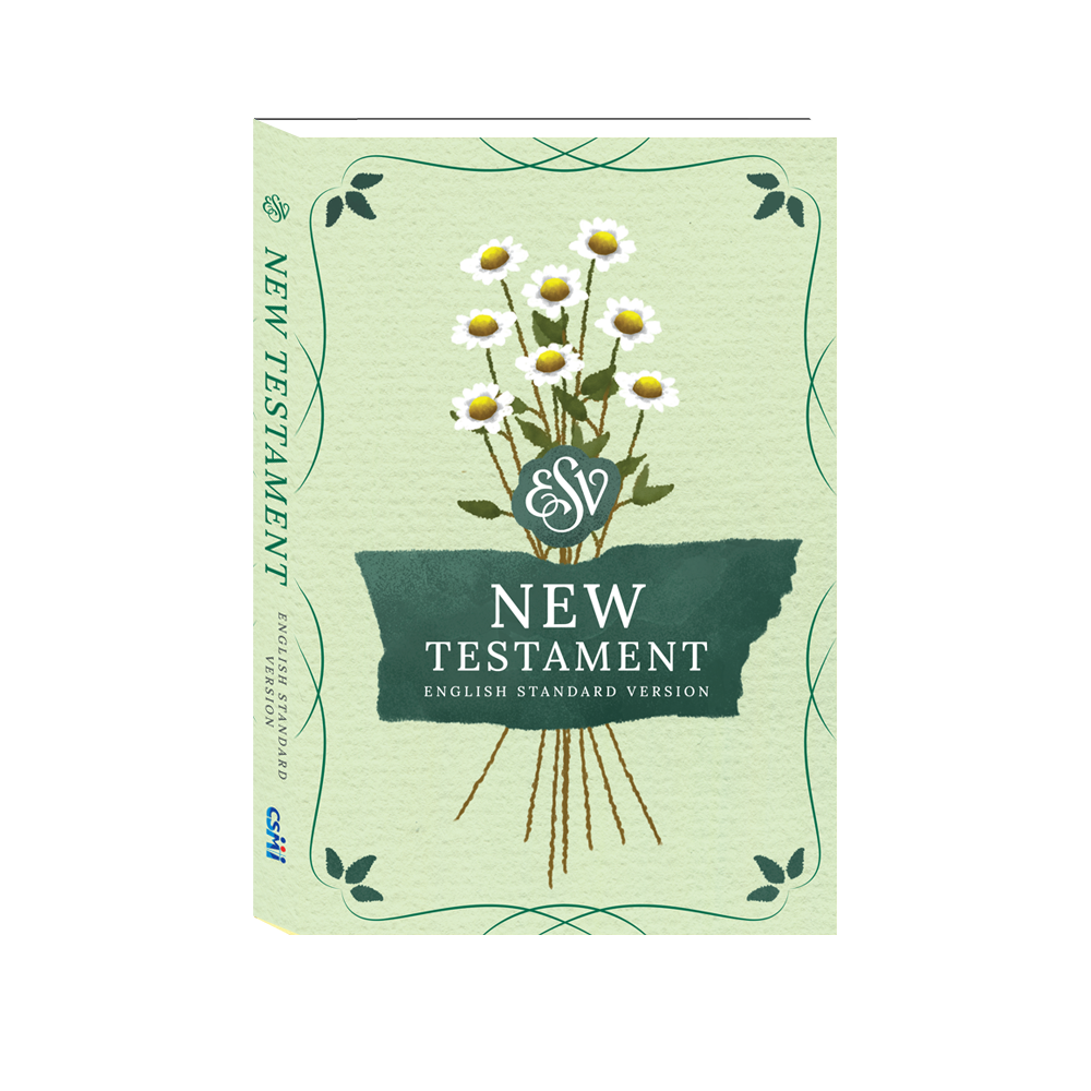 ESV [English Standard Version] Bible - New Testament only