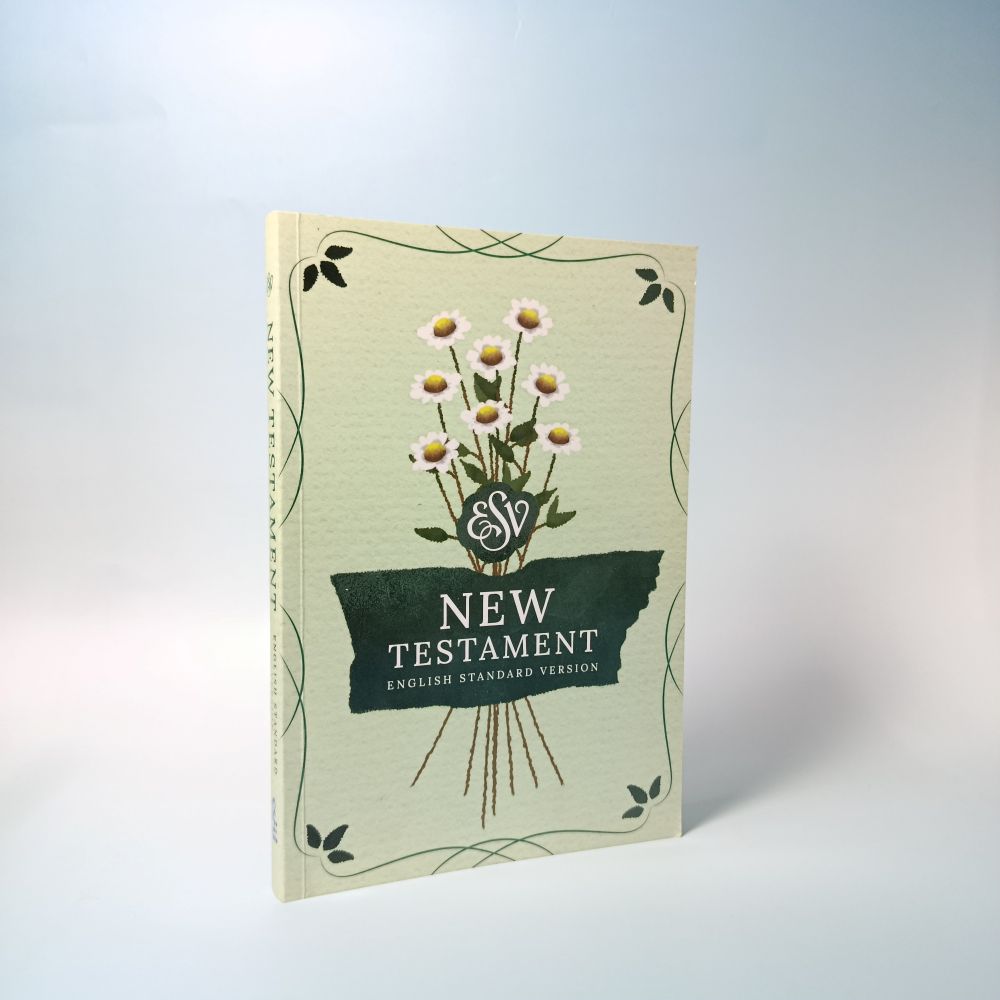 ESV [English Standard Version] Bible - New Testament only