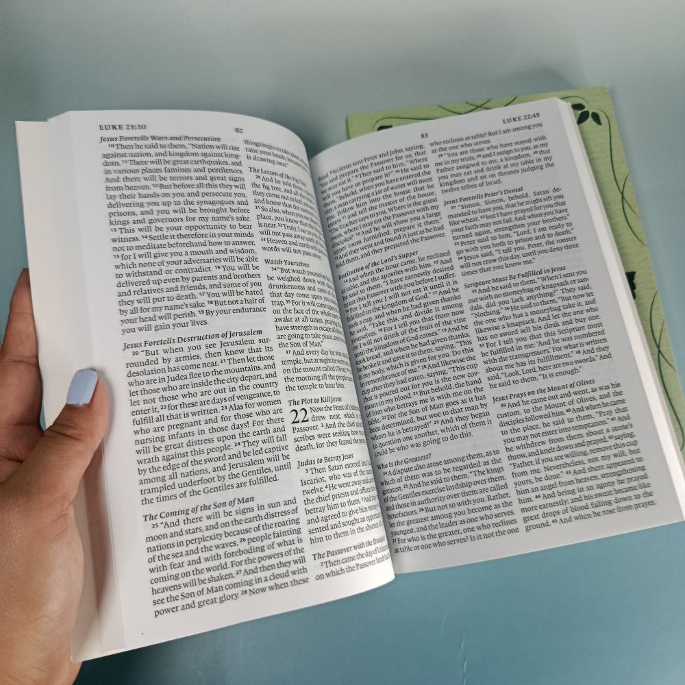 ESV [English Standard Version] Bible - New Testament only