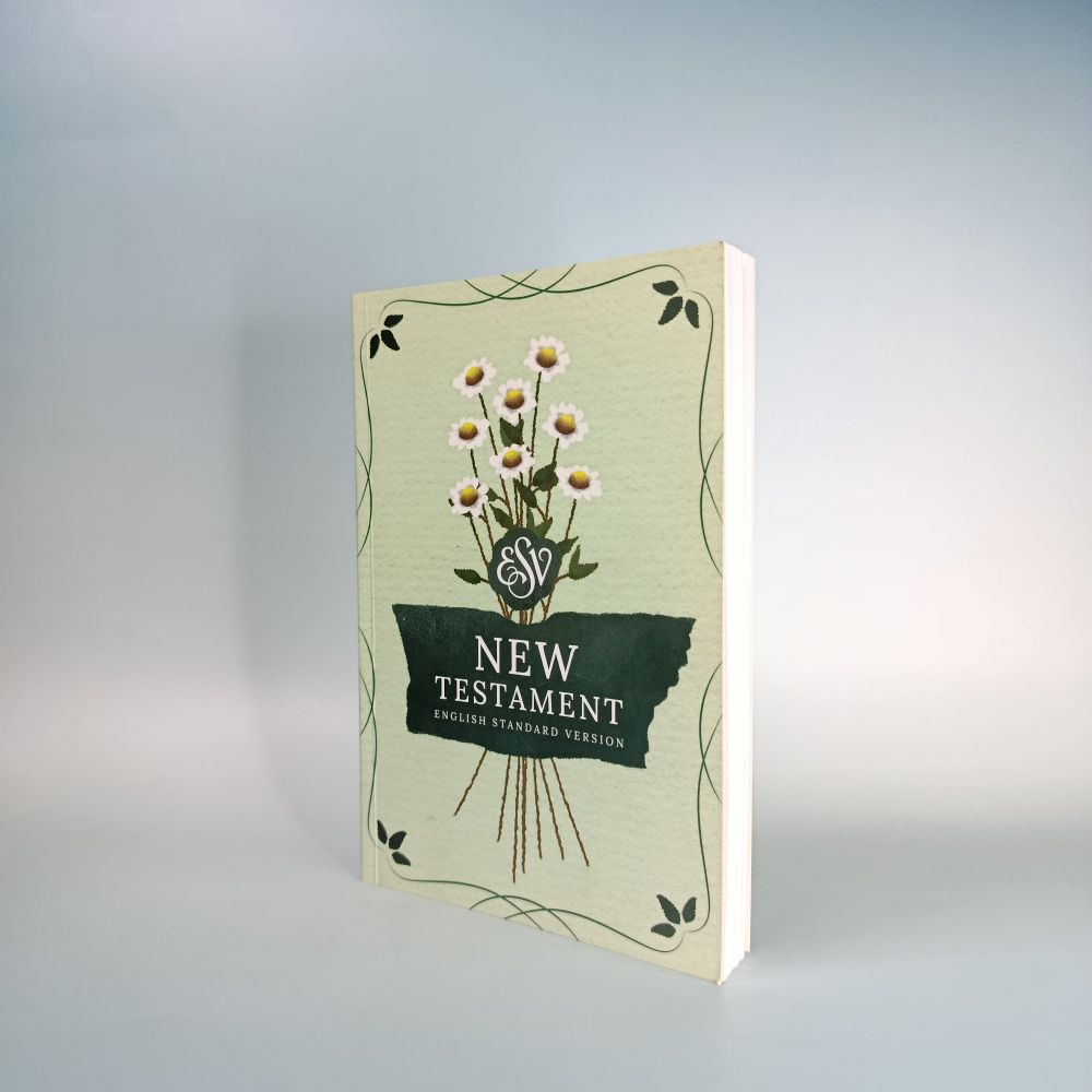ESV [English Standard Version] Bible - New Testament only