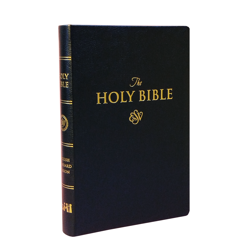 ESV LARGE PRINT (PU)