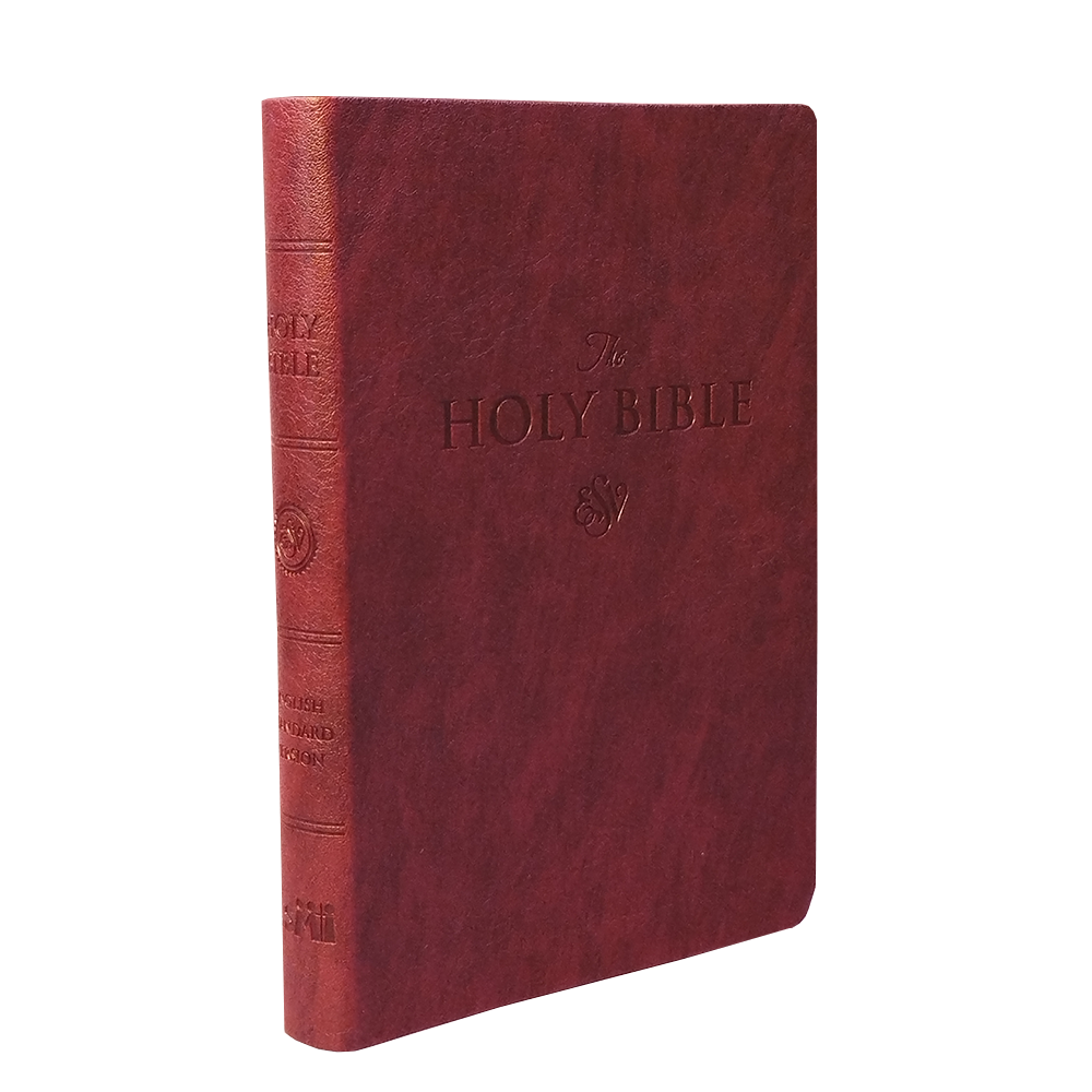 ESV LARGE PRINT (PU)