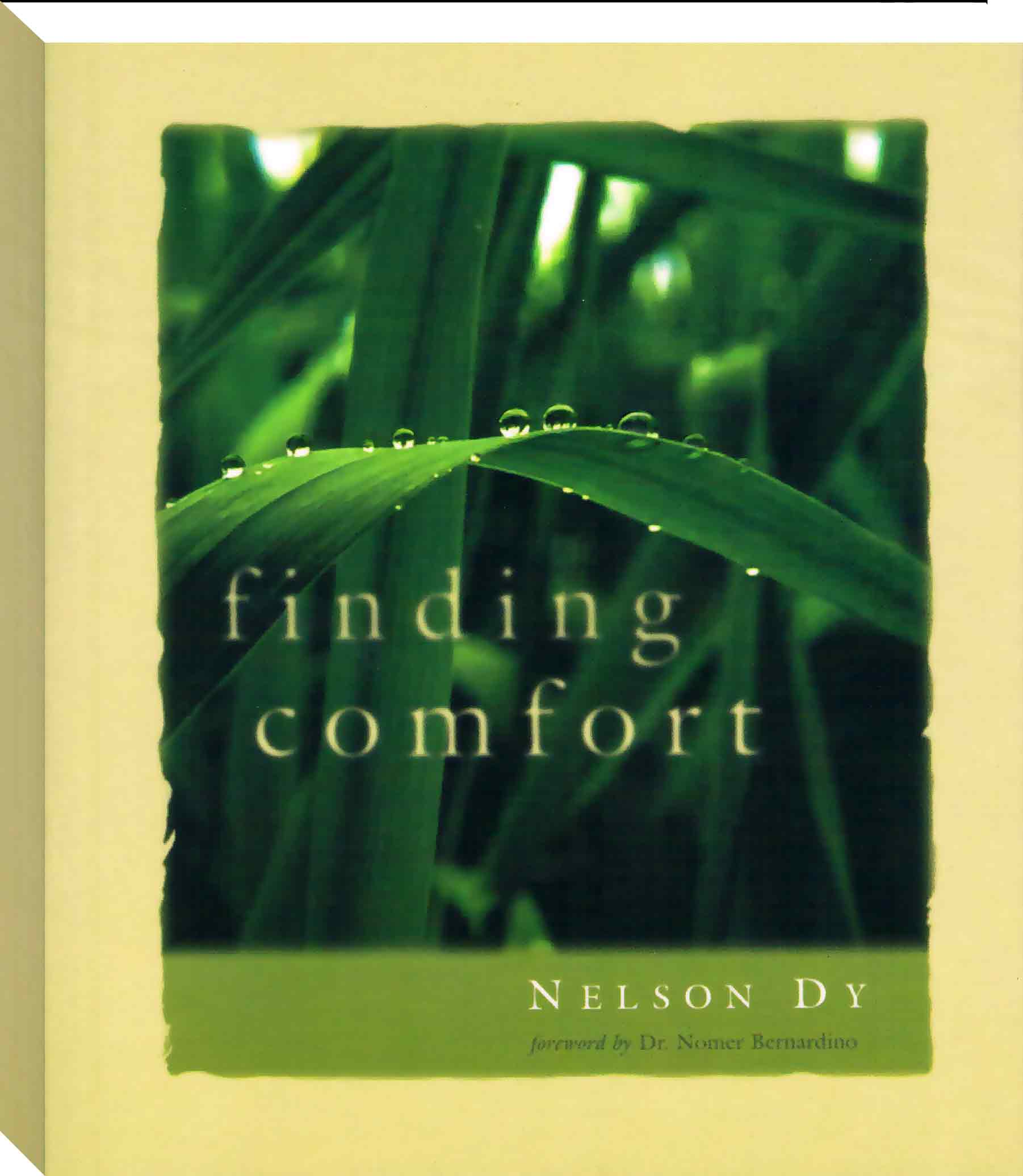 Finding Comfort Book