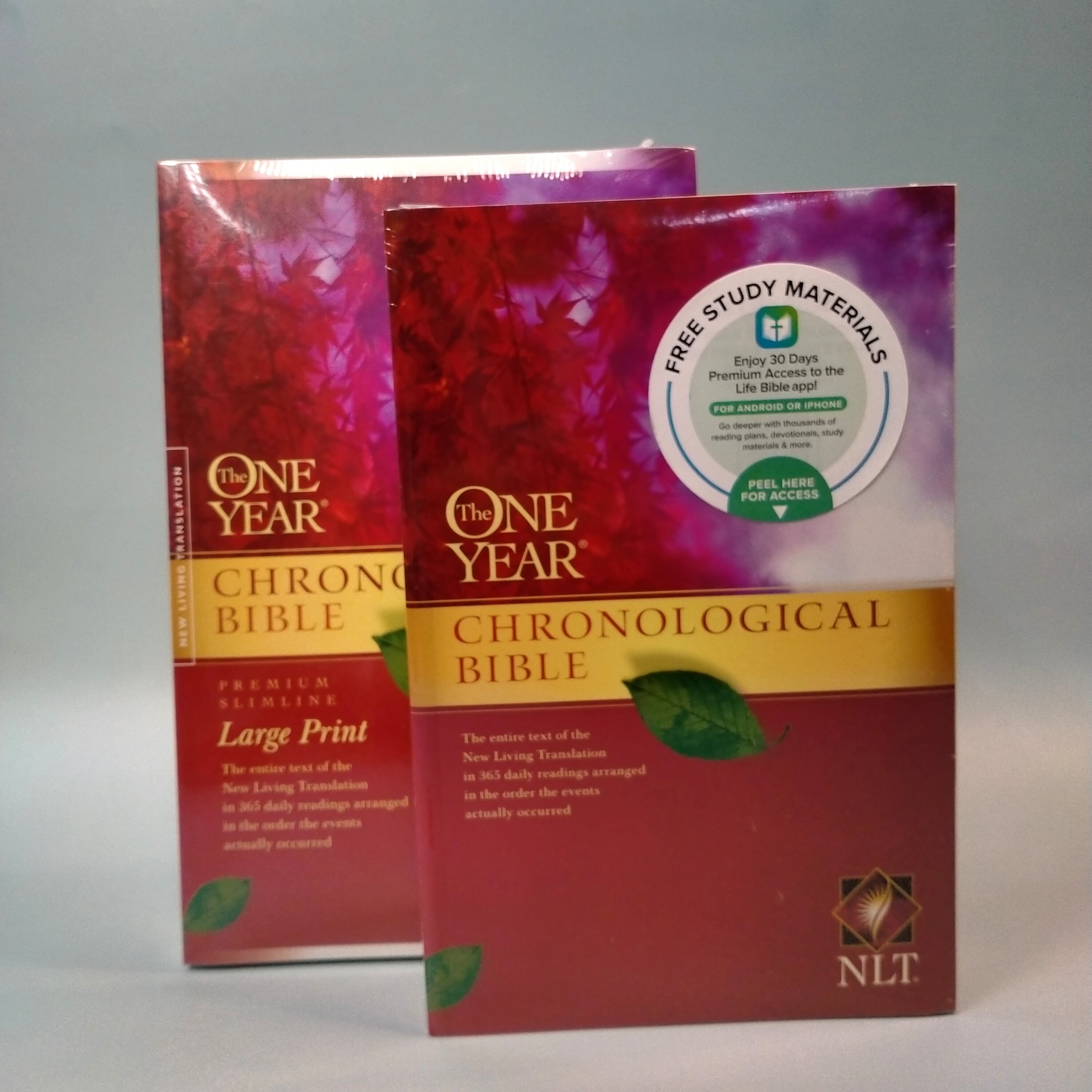 The One Year Chronological Bible NLT