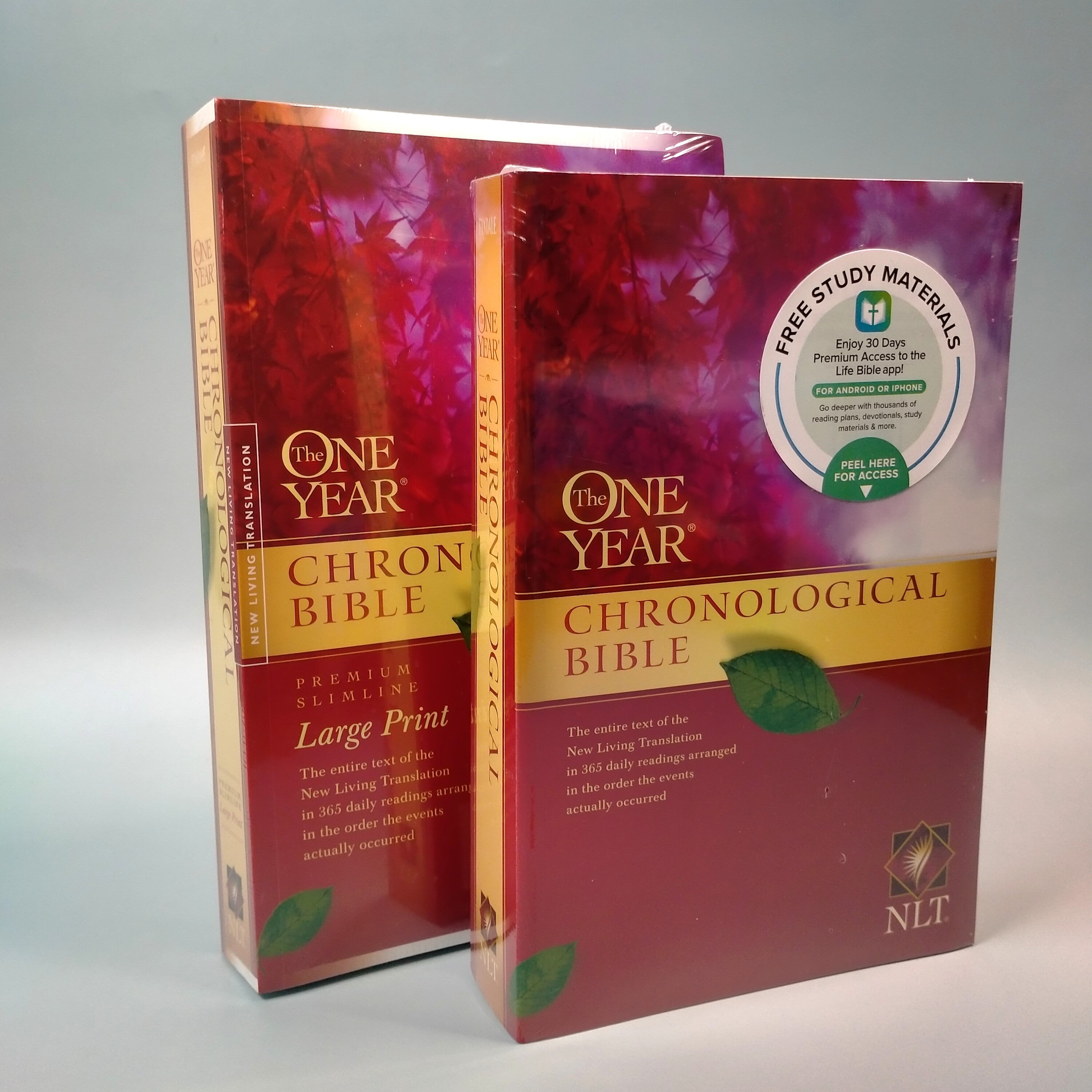 The One Year Chronological Bible NLT