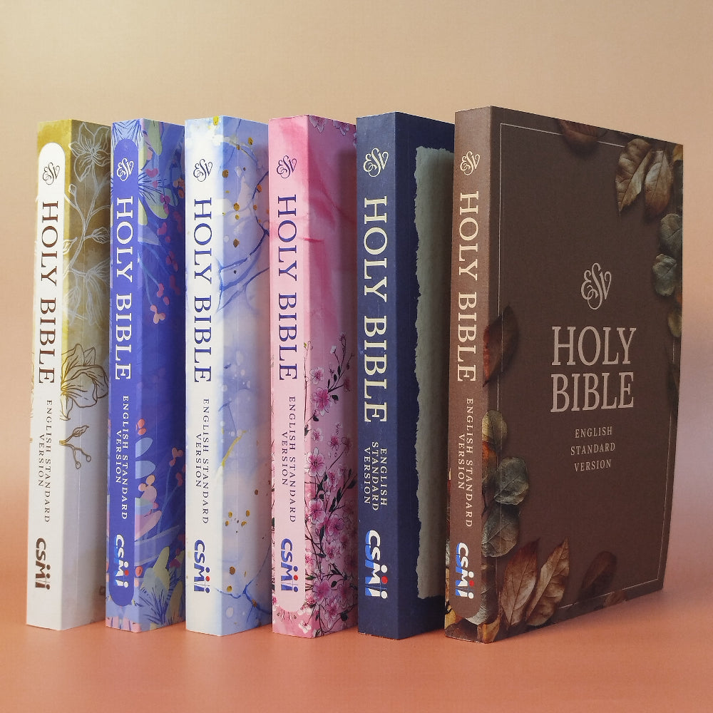 ESV Paperback LARGE PRINT