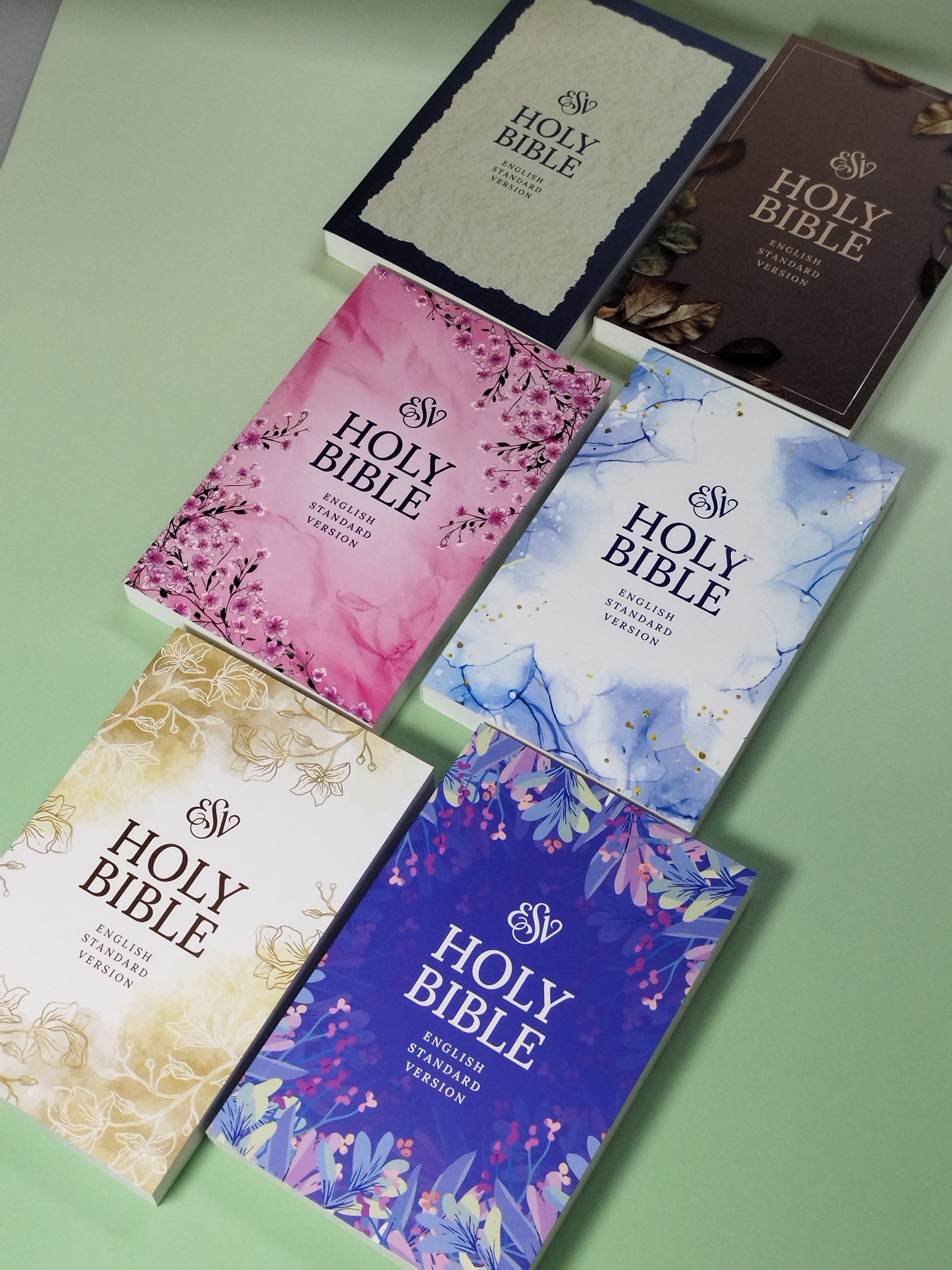 ESV Paperback LARGE PRINT