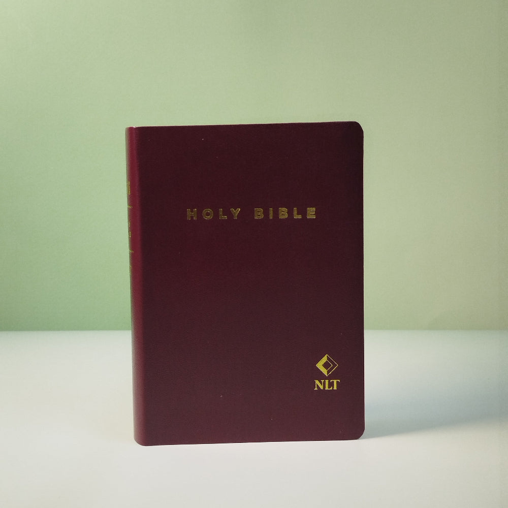 NLT [New Living Translation] - Old and New Testament: Compact Edition (NEW)