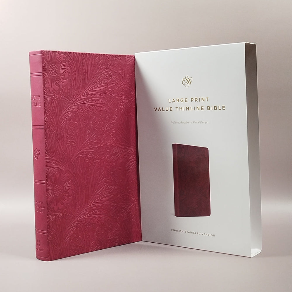 Large Print Value Thinline Bible: English Standard Version (ESV)