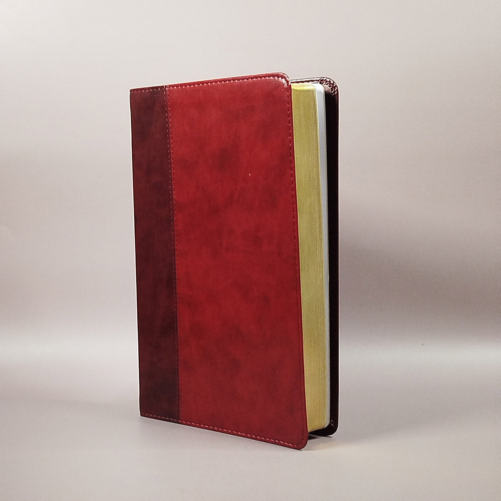 Large Print Thinline Bible: English Standard Version (ESV)