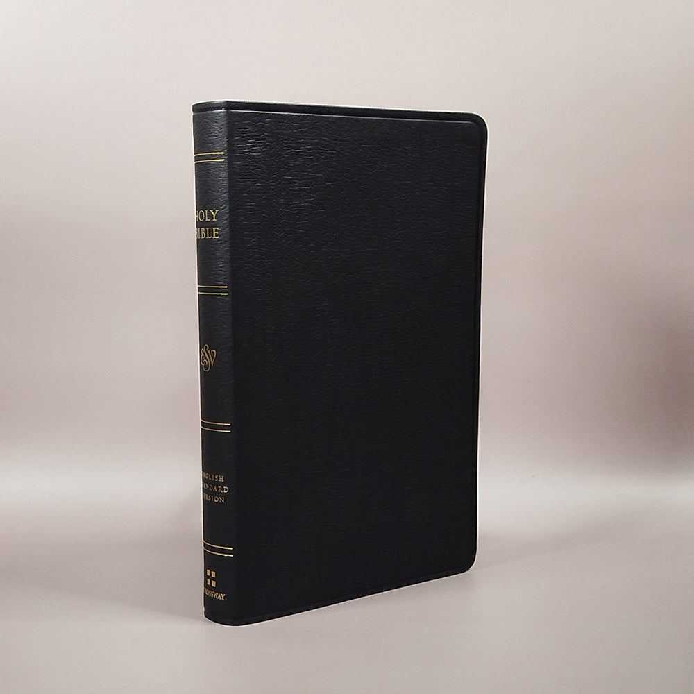 Large Print Thinline Bible: English Standard Version (ESV)