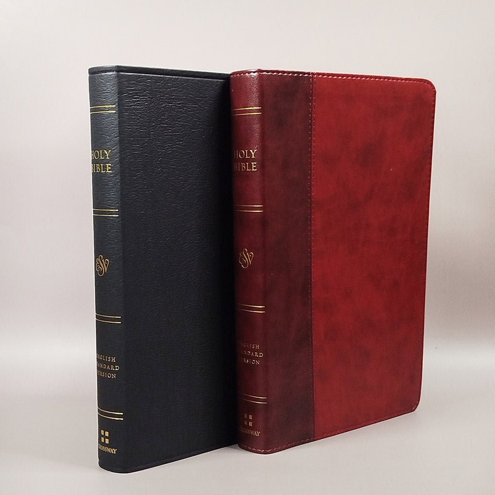 Large Print Thinline Bible: English Standard Version (ESV)
