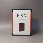 ESV Study Bible, Personal Size (TruTone, Saddle, Ornament Design)