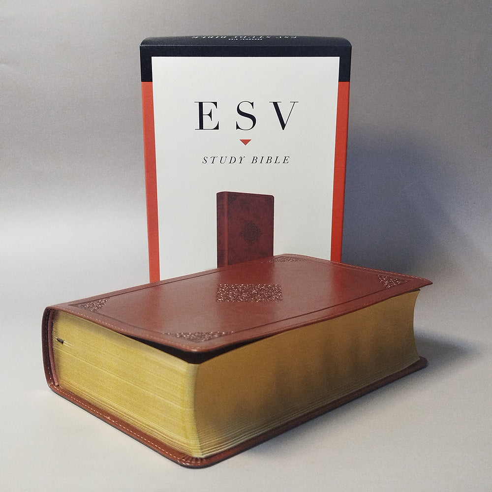 ESV Study Bible, Personal Size (TruTone, Saddle, Ornament Design)