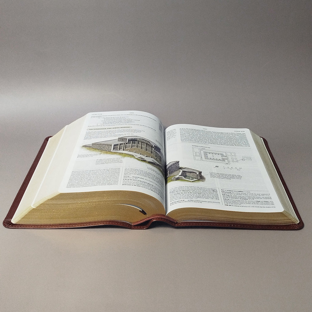 ESV Study Bible, Personal Size (TruTone, Saddle, Ornament Design)