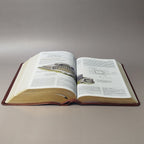 ESV Study Bible, Personal Size (TruTone, Saddle, Ornament Design)
